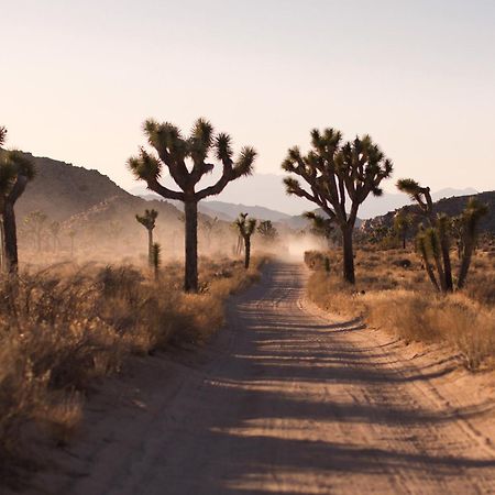 Modern Desert Dream - New Build Twentynine Palms Exteriér fotografie